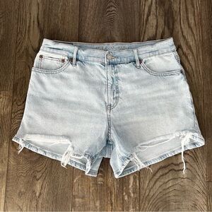 AMERICAN EAGLE AE Relaxed High Rise Denim Jean Shorts Size 10